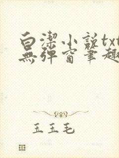 白洁小说txt无弹窗笔趣阁