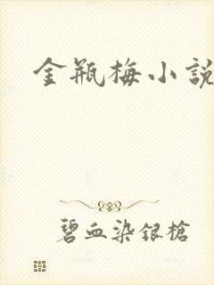 金瓶梅小说下载