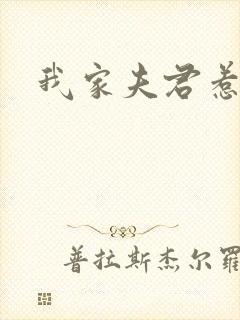 我家夫君惹不起