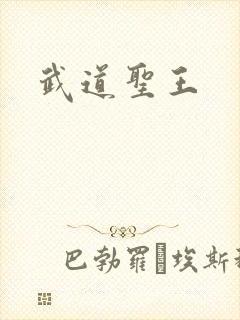 武道圣王