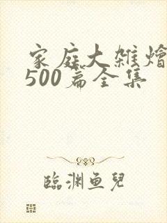 家庭大杂烩小说500篇全集