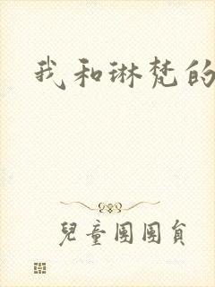 我和琳梵的故事