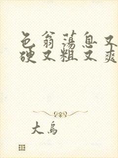 色翁荡息又大又硬又粗又爽