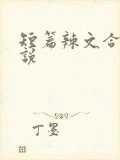 短篇辣文合集小说