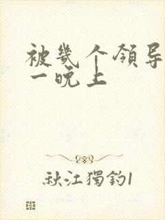 被几个领导玩弄一晚上