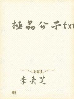 极品公子txt