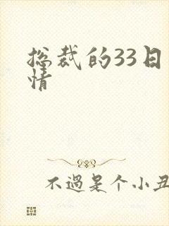 总裁的33日索情