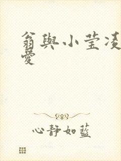 翁与小莹凌晨欢爱