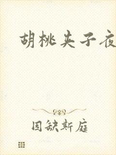 胡桃夹子夜未眠