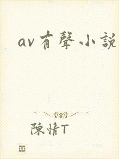 av有声小说
