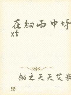 在细雨中呼喊txt