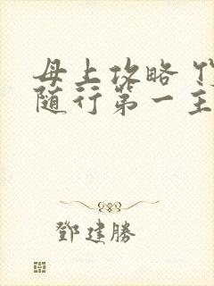 母上攻略 竹影随行第一主板