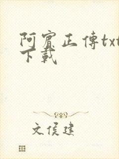 阿宾正传txt下载