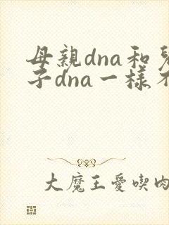 母亲dna和儿子dna一样不