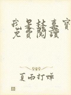 我是林喜宝小说免费阅读