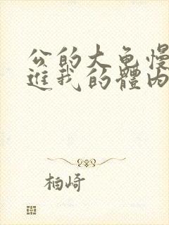 公的大龟慢慢挺进我的体内