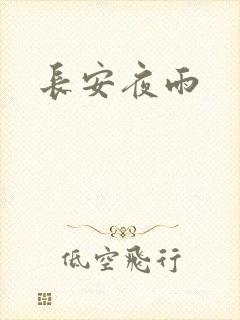 长安夜雨