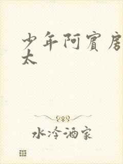 少年阿宾房东太太