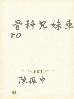 骨科兄妹车多pro