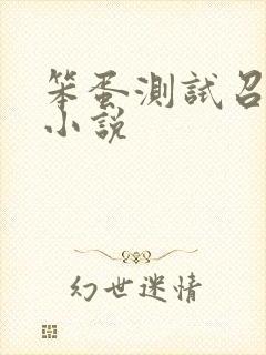 笨蛋测试召唤兽小说