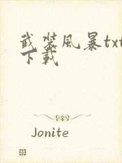 武装风暴txt下载