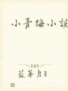 小青梅小说