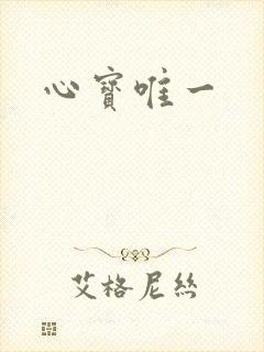 心宝唯一