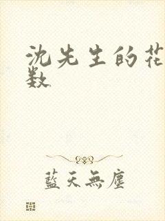 沈先生的花式调数