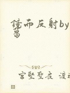 镜面反射by九葛