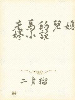 老马的儿媳顾婉婷小说