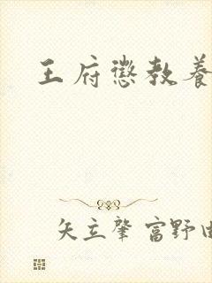 王府惩教养日常