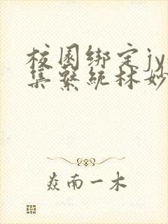 校园绑定jy收集系统林妙妙