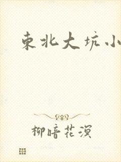 东北大坑小说