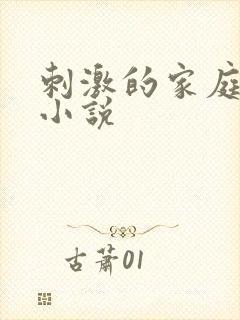 刺激的家庭乱仑小说