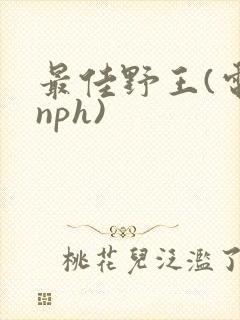 最佳野王(电竞nph)