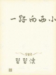 一路向西小说