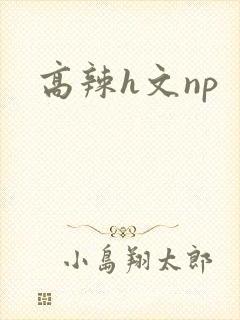 高辣h文np