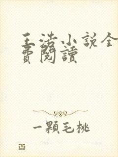 王浩小说全文免费阅读