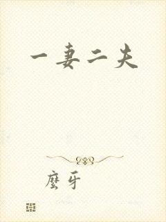 一妻二夫