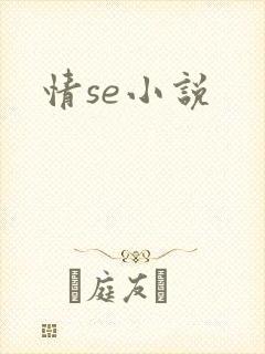 情se小说