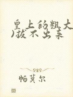 皇上的粗大(h)拔不出来