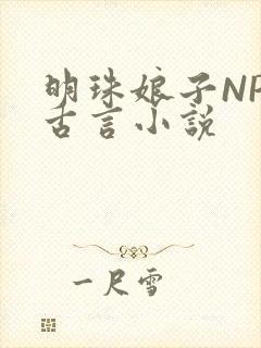 明珠娘子NPC古言小说