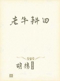 老牛耕田