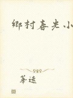 乡村春光小说