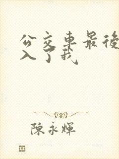 公交车最后一排入了我