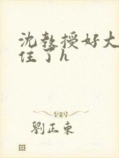 沈教授好大含不住了h