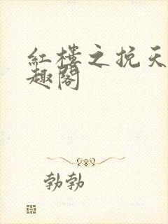 红楼之挽天倾笔趣阁