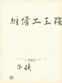 维修工王强张婷