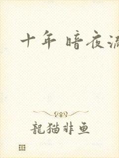 十年 暗夜流光