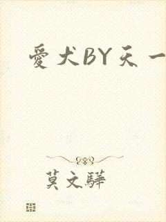 爱犬BY天一